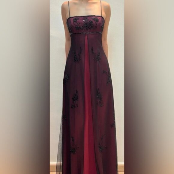 Caché Dress. Beautiful and very elegant dress/Size 4 - Picture 1 of 12